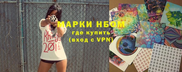 стафф Коряжма