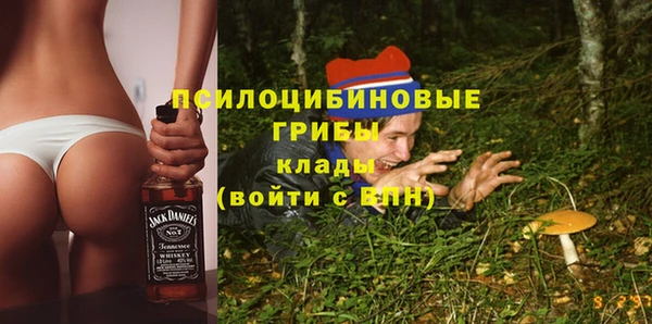 стафф Коряжма