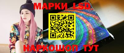 прущие грибы Будённовск