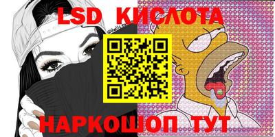 прущие грибы Будённовск