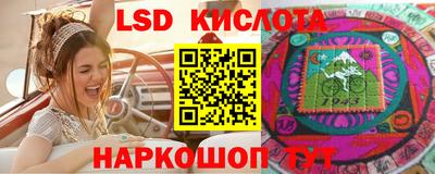 прущие грибы Будённовск