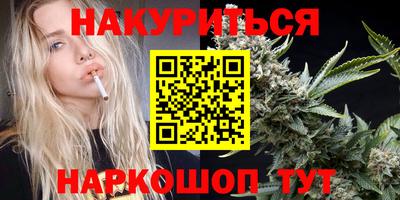 прущие грибы Будённовск